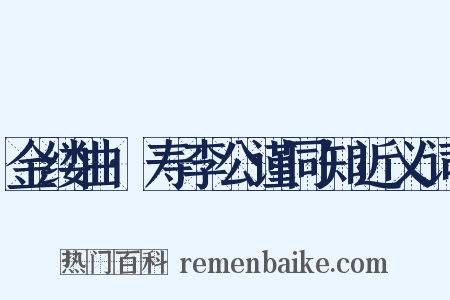 金缕曲·寿李公谨同知近义词是什么意思的图片